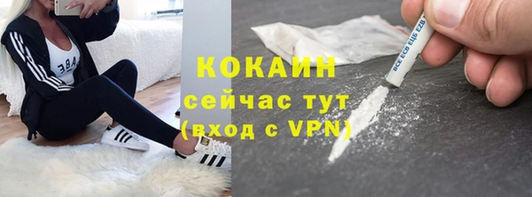 первитин Няндома