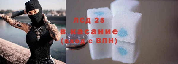 прущие грибы Новокубанск