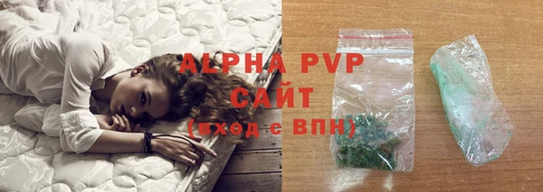 дживик Новозыбков