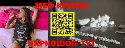 тгк Кингисепп