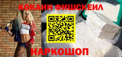 тгк Кингисепп