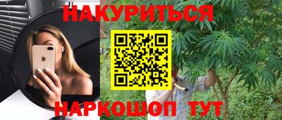 тгк Кингисепп