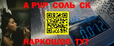 тгк Кингисепп