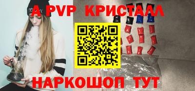 тгк Кингисепп