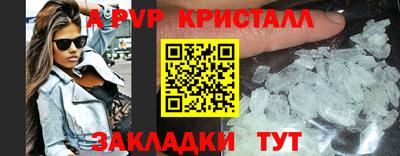 тгк Кингисепп