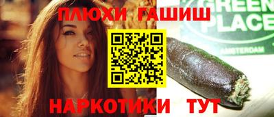 тгк Кингисепп