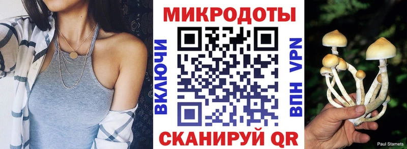 ссылка на мегу вход  Ярославль  Псилоцибиновые грибы Magic Shrooms 