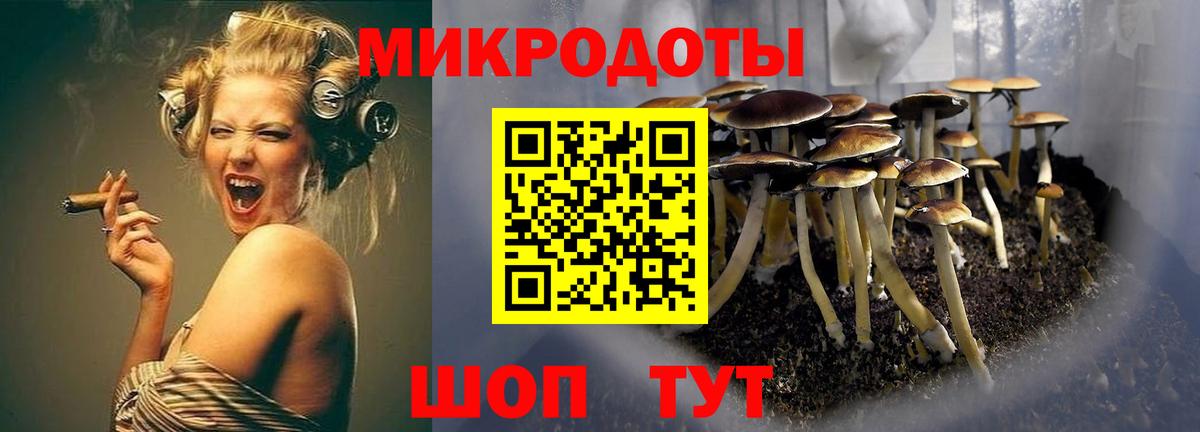Галлюциногенные грибы MAGIC MUSHROOMS Ярославль